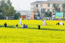 湖北武汉：万亩油菜花开 游客踏青赏花忙图片
