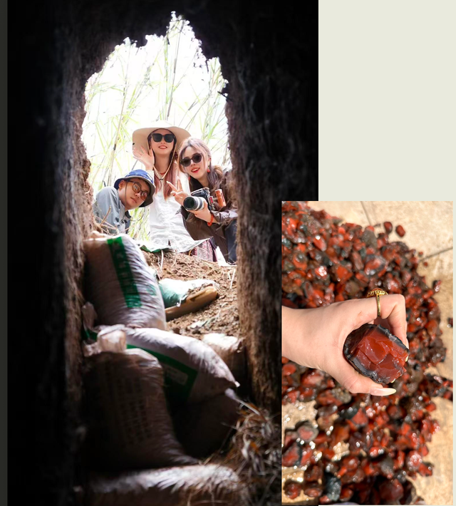 真不懂，为啥现在的明星和有钱人都偏爱这个“烂木头”？