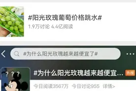 “葡萄界的爱马仕”价格跳水，进口水果国产化之路如何走？图片