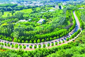 阡陌焕新颜 路通百业兴  “四好农村路”串起好山好水好生活图片