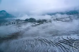 雪映梯田美如画图片