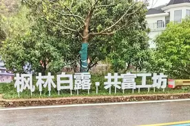 兰溪这家共富工坊 入选省级党建联建典型案例图片