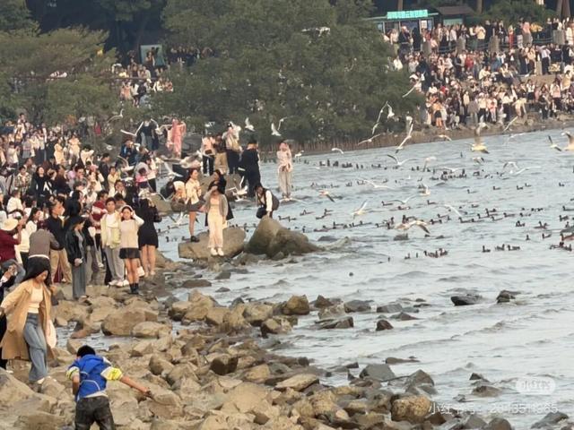 “春运都没这么多人”！深圳知名景区刷屏，网友纷纷“劝退”！