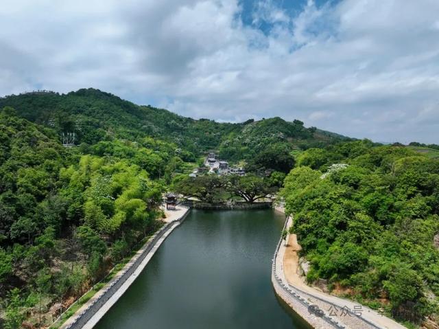 福鼎,一座为浪漫而生的城市!这些打卡地,你去过几个?