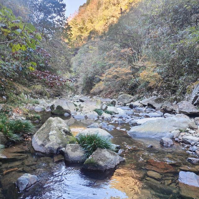 晚潮｜老家如梦：小佐坑峡谷的烟树秋色