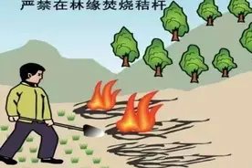 清明节森林草原防火倡议书图片