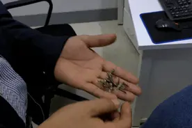 心痛！女友摔成植物人，警惕TA深插头皮变“刺刀”……图片