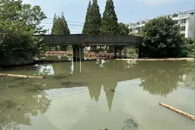 建筑垃圾被打捞清理，河岸线恢复原貌！青浦两条乡村河道得到整治图片