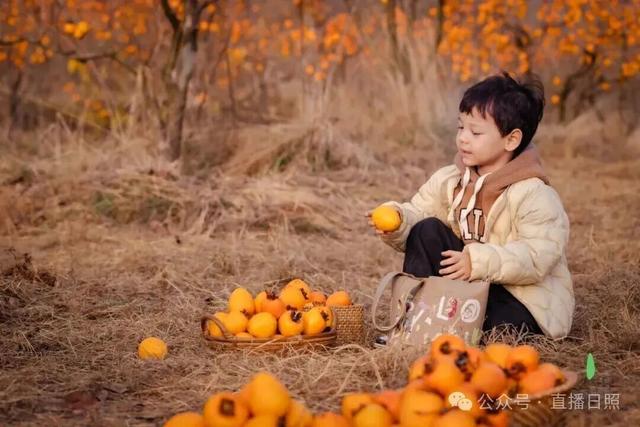 红了！10月下旬至11月上旬，就在日照这里→
