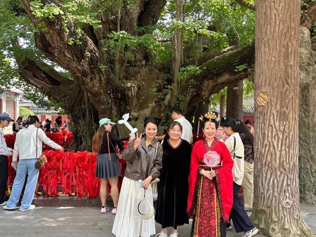 莒县：文旅市场热潮涌活力足