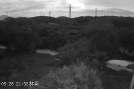 “突然一声巨响”，广东一地疑现火流星，很多人拍到了→图片