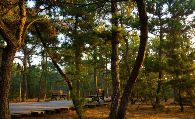 冬韵染南海 一帧一景皆画境