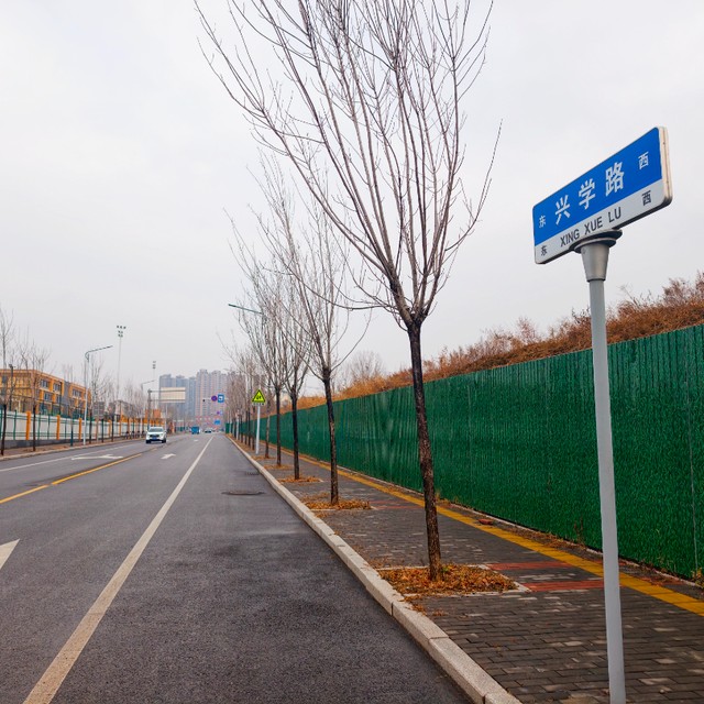 淄川这几条道路规范命名！快来看看在哪