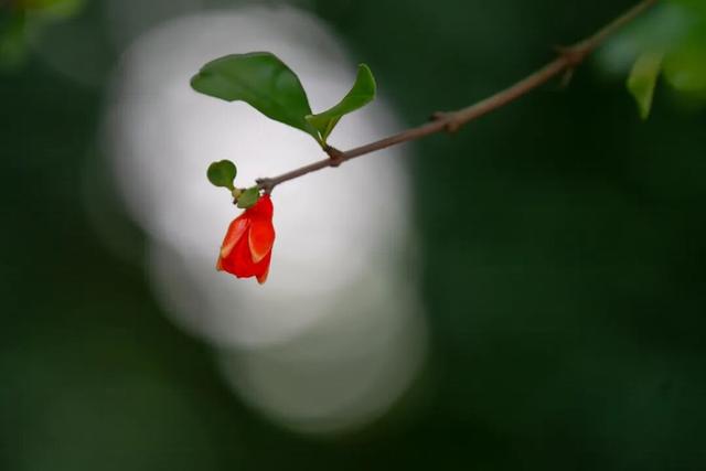 四时天工 扬州如画