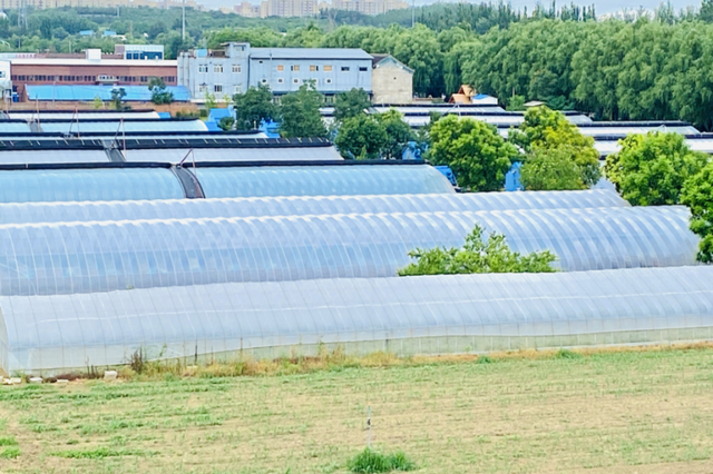 秋实累累 | 走！去丰台区佃起村打卡秋日限定美景！