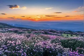 用这些汉字打开贵州的春天，一笔一划都是震撼人心的美→图片