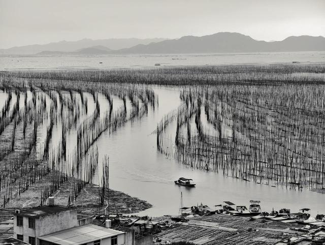 晚潮｜福建霞浦沙江S湾：一幅如梦如幻的滩涂水墨画
