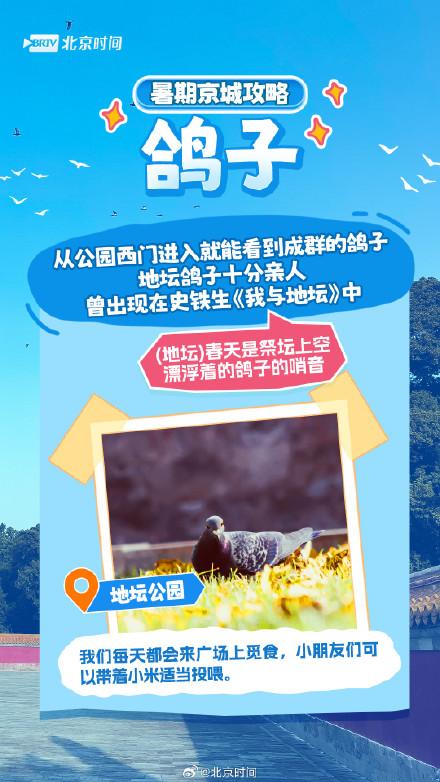 北京网红动物大盘点