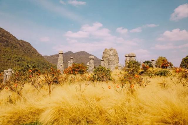 中华诗词学会酉阳采风行启动，共绘“诗词里的桃花源”