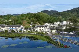 四川大竹：村美民富农业强，乡村蝶变绘振兴图片