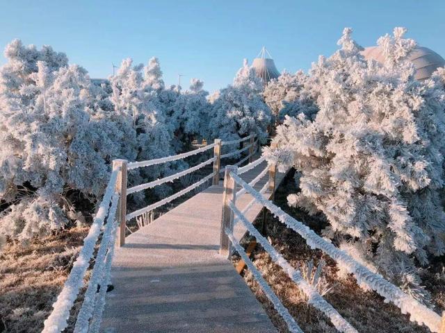 美到词穷！郴州首场雾凇惊艳上线