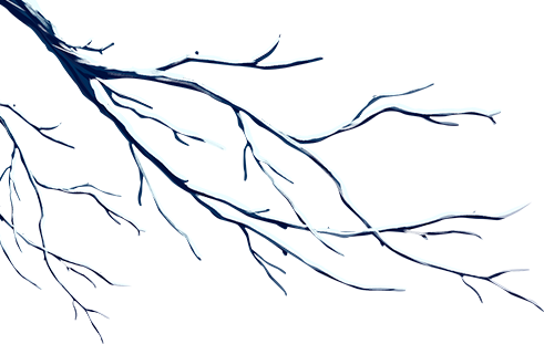 观云海，遇彩林，初冬就该来这里！