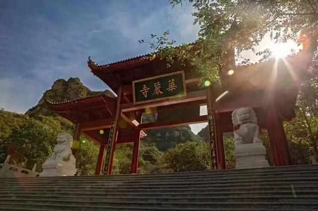 半年销量破5万，这张“票”做对了什么？