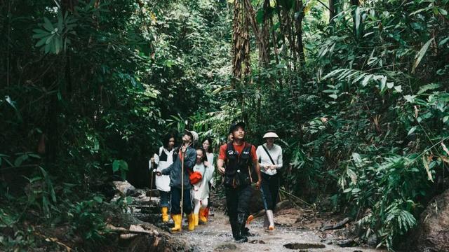 来西双版纳体验向往的生活