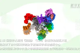 新华全媒+｜我国科学家成功填补叶绿体基因“转录机器”研究空白图片