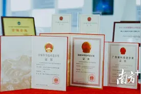 勇夺国家、省“冠军”，国星光电何以制胜？图片