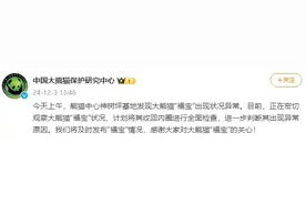 大熊猫“福宝”出现状况异常，中国大熊猫保护研究中心通报图片