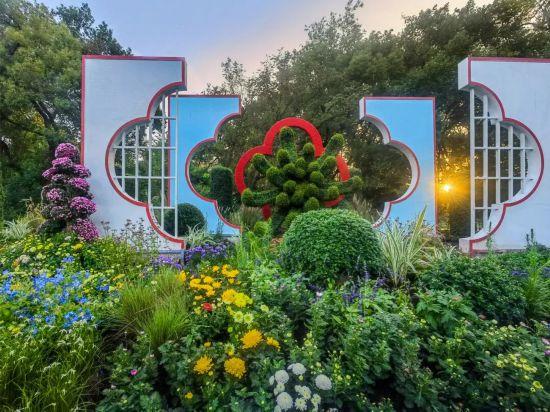 2025上海菊花展在共青森林公园举办 攻略请收好