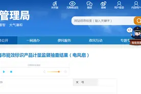 2024年上海市能效标识产品计量监督抽查结果公布（电风扇）图片