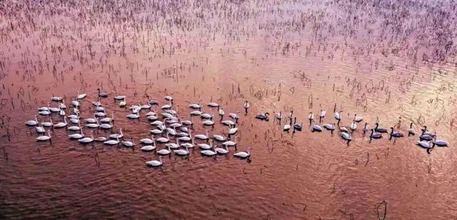 今天过节，荆州多地免票！