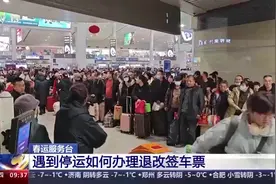 列车停运或晚点车票如何退改签？指南来了图片