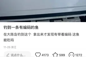 钓到一条“带编码”的鱼，“能吃吗？”图片