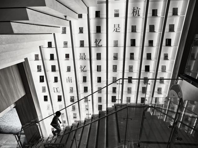 晚潮｜大暑赏荷