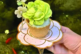 花式冰淇淋开“卷” “颜值”也为消费添把火图片