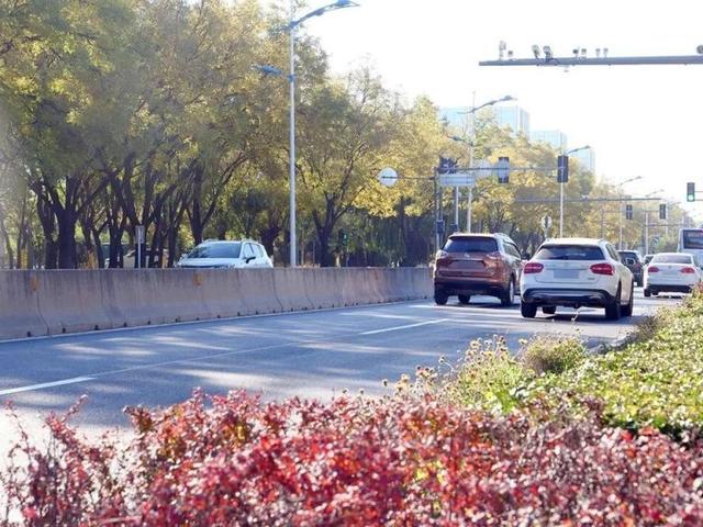 北京号最精彩｜惊艳！京城这些公园里藏着秋景“天花板”