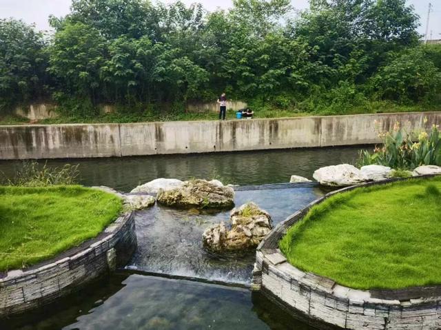 每天8.5万吨洗脚水冲厕水，竟都流向了这个网红公园？