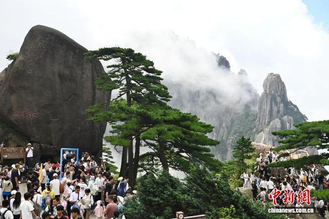 华裔大学生走进黄山风景区感受自然之美