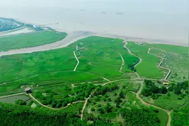 初夏游崇明5A景区，吃住行看这一条就够了！图片