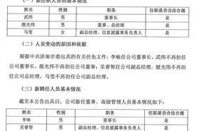 济南城投集团高管变动 李咏任董事长，总经理暂时空缺图片