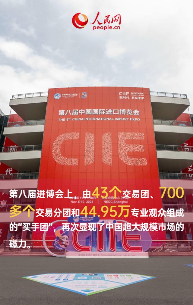 规模再创新高！9图速览第八届进博会亮点
