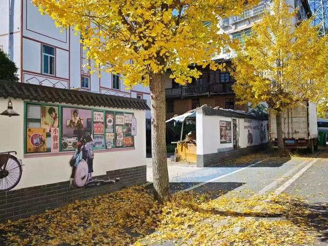 八闽秋冬，藏着一片金色童话