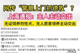 网传“警察上门抓德牧？”上海通报：无证饲养烈性犬，主人主动交出图片