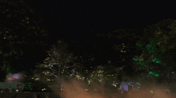 上海的朋友快冲！还有8天！来静安开启梦幻夜游！（超多美图抢先看↗）｜金秋静安·不容错过