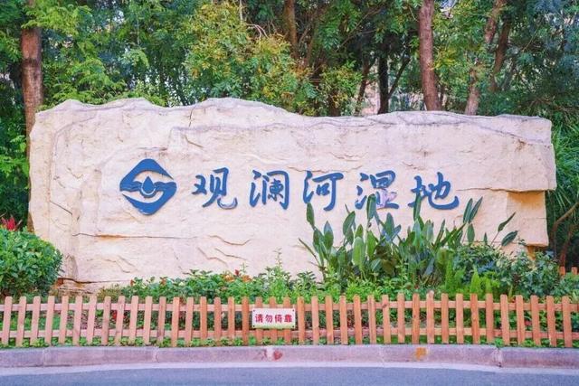 转角遇花海，深圳一地被“挤爆”！网友：怎么拍？求赐教