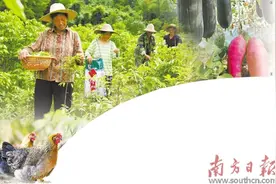 小小“土特产”的进阶之路图片