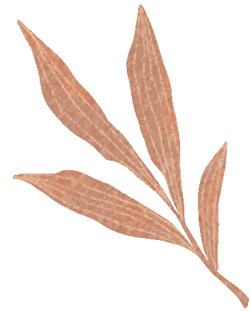 红叶地图出炉，闵行限定秋景就在→